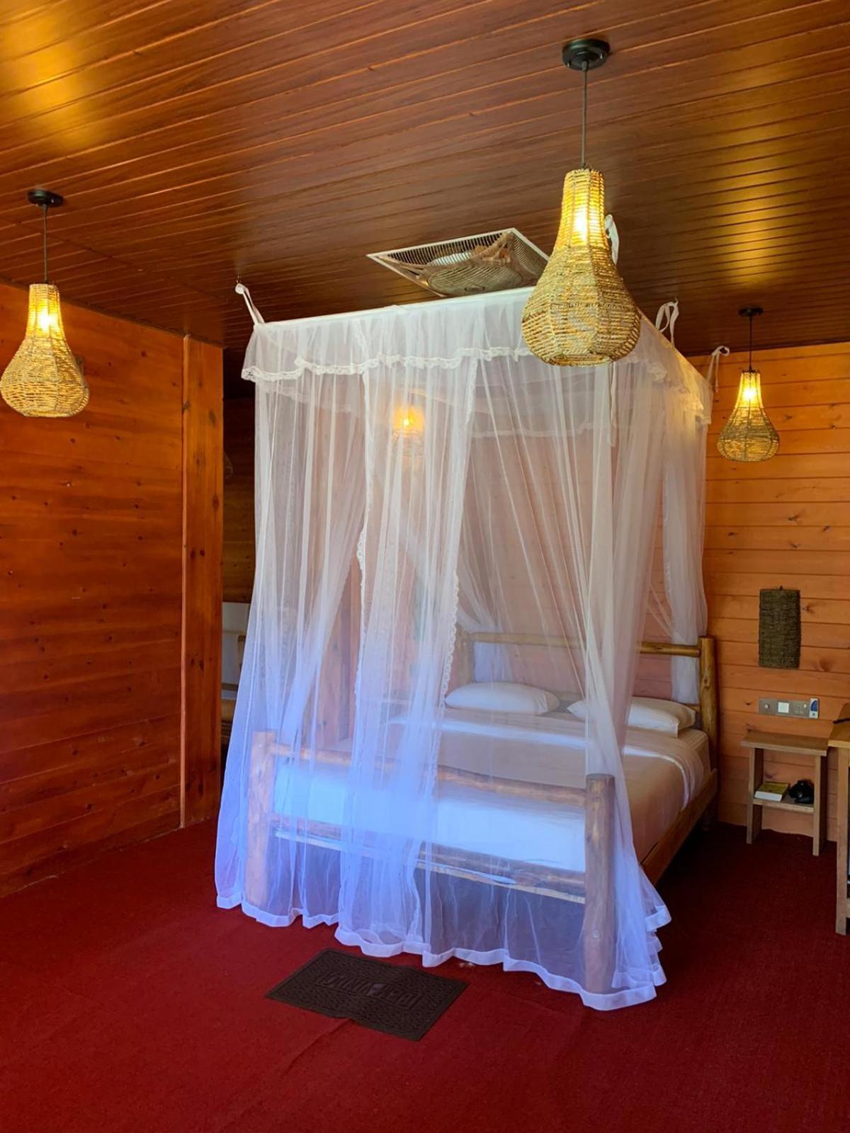 Ella Wood Cabin Rom bilde